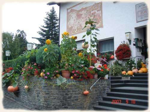 Gasthof Zur Romervilla Mehring  Exterior foto